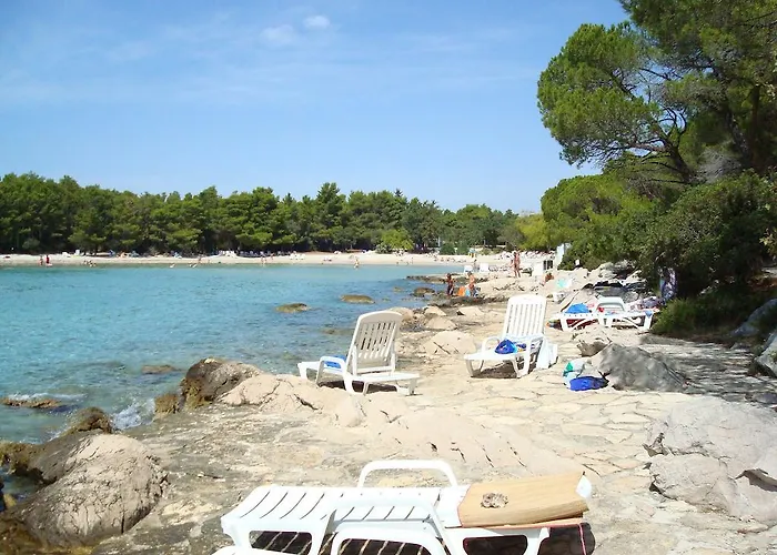 Pine Casa vacanze