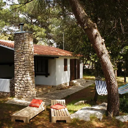 Holiday home Holiday Pine